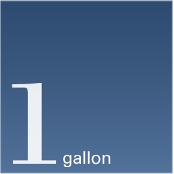 1 gallon