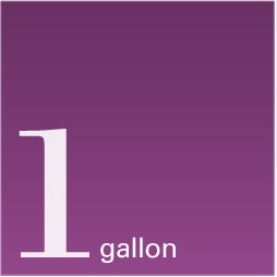 1 gallon