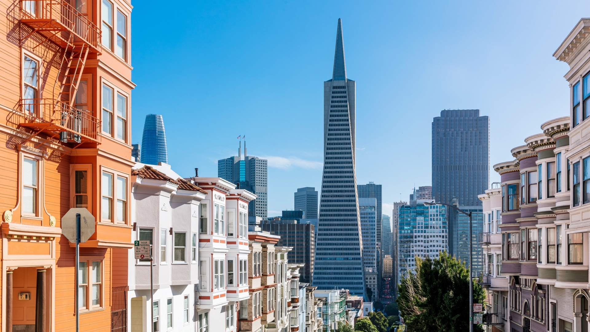 A photograph of San Francisco’s skyline.