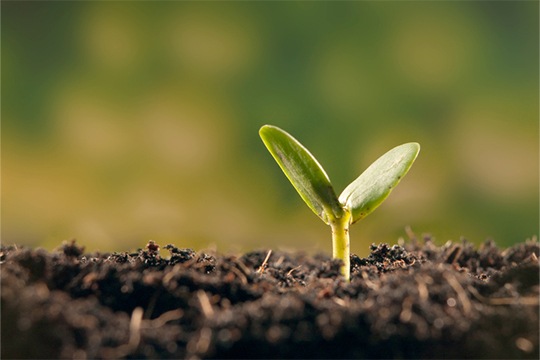 How investors are adjusting to a slower green transition