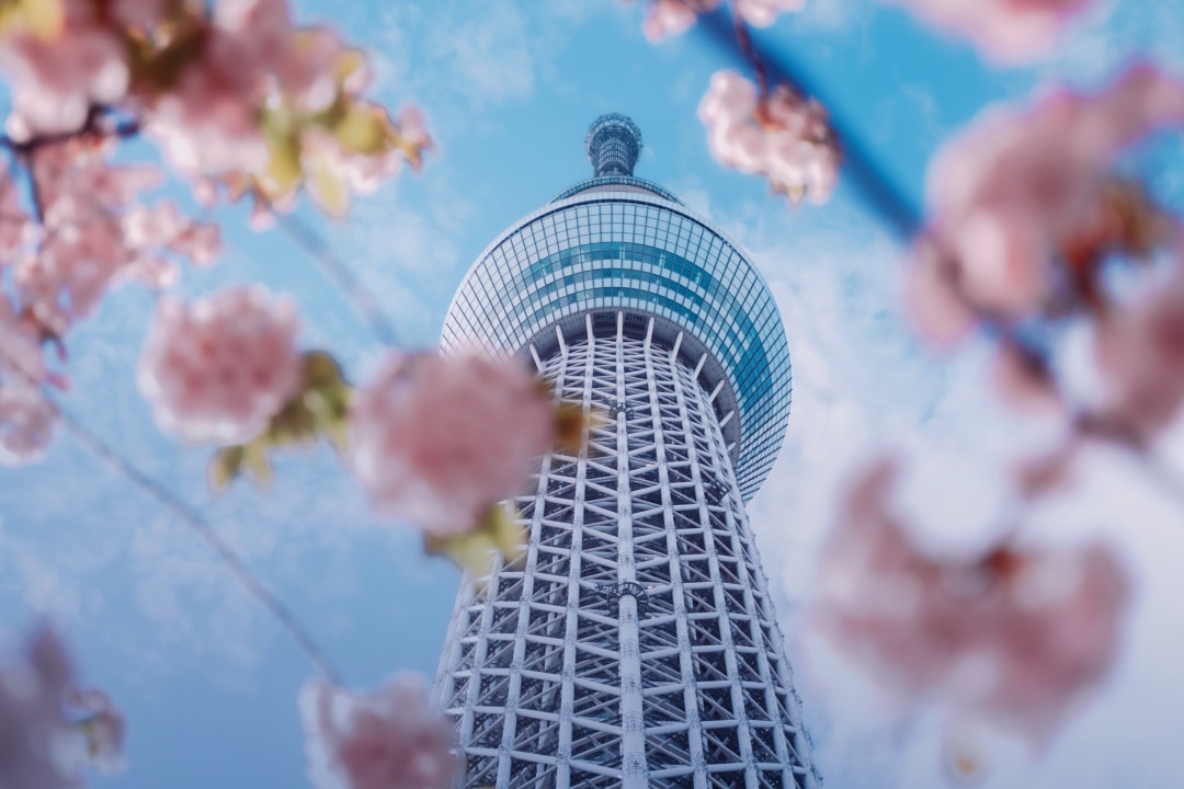 Japan’s Strategic Awakening