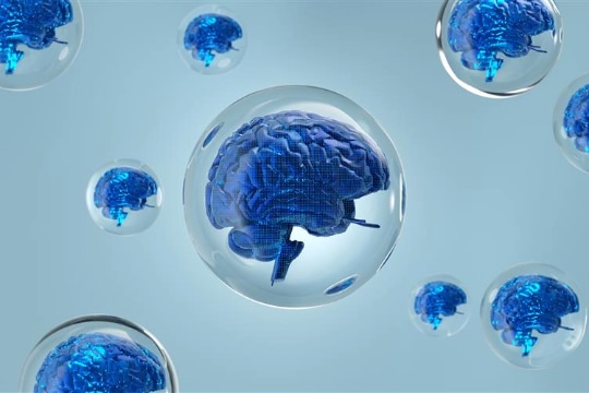 Top of Mind: AI: in a bubble?