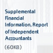 Supplemental Financial Information